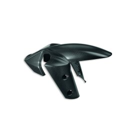 Carbon front Mudguard 96981141A