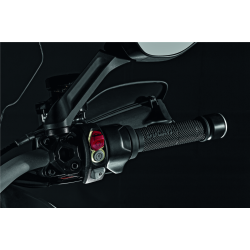 Heated grips 96680702A