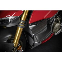 Ducati Paar Carbon Winglets 96981341AA