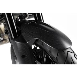 Carbon front mudguard 96981371AA