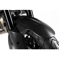 Ducati Vorderer Kotflügel aus Kohlefaser 96981371AA