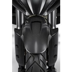 Ducati Vorderer Kotflügel aus Kohlefaser 96981371AA