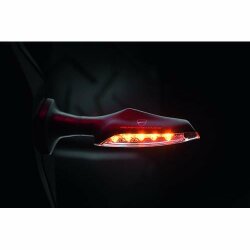 Ducati LED Blinker 96680471A