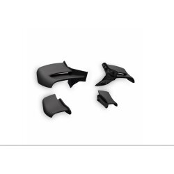 Ducati Winglets aus Kohlefaser 96982121AA