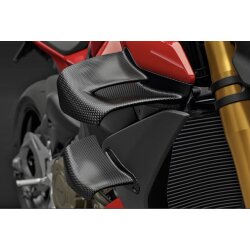 Ducati Winglets aus Kohlefaser 96982121AA