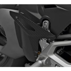 Ducati Versenschuttz Carbon 96982221AA